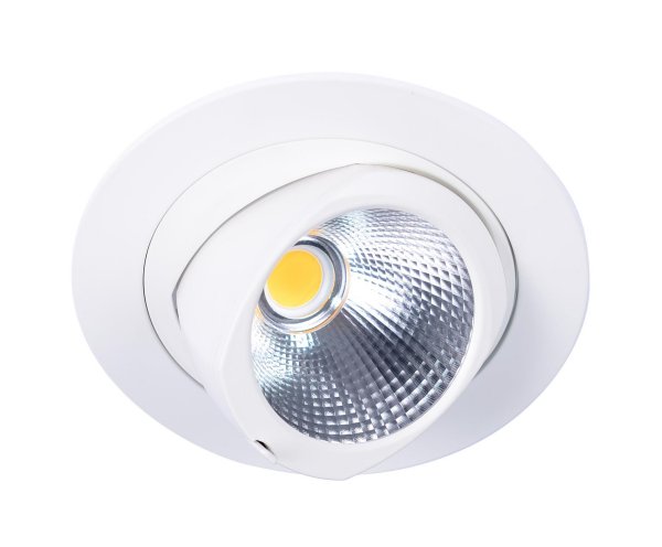 Pivo Medium Vero 18 Bridgelux LED spot draai- en kantelbaar 31W 4000K 3400lm 36° met LEDdriver wit